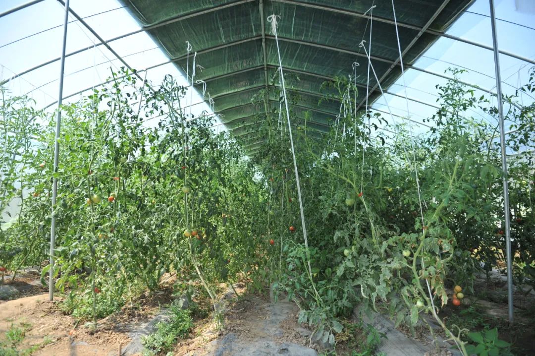 1661327376376374.jpg 微(wēi)信圖片_20220824154517.jpg