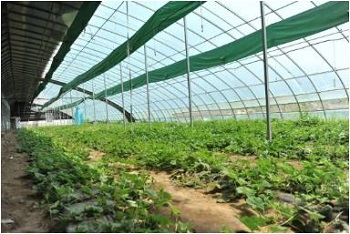 1672194887413520.jpg J13.jpg