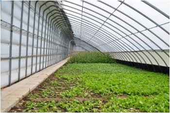 1672194893144557.jpg J14.jpg