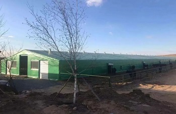 1672195083712496.jpg JA.jpg