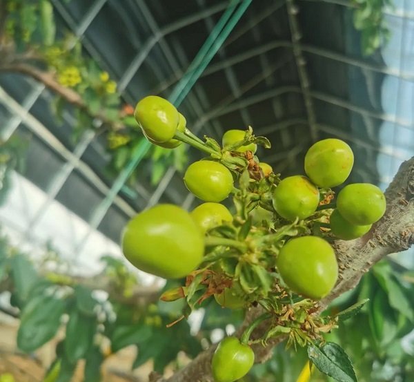 1680597171359782.jpg 4.jpg