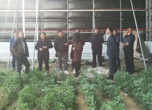 1691563981393480.jpg 3283_副本_副本.jpg