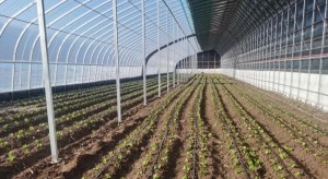 1691564535115264.jpg 3287_副本_副本.jpg